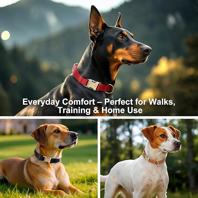 Plutus Pet Genuine Leather Dog Collar – Adjustable Pet Collar with Quick Release Metal Buckle, Soft Real Leather for Small Medium Large Dogs, Heavy Duty & Skin-Friendly (Purple, M)