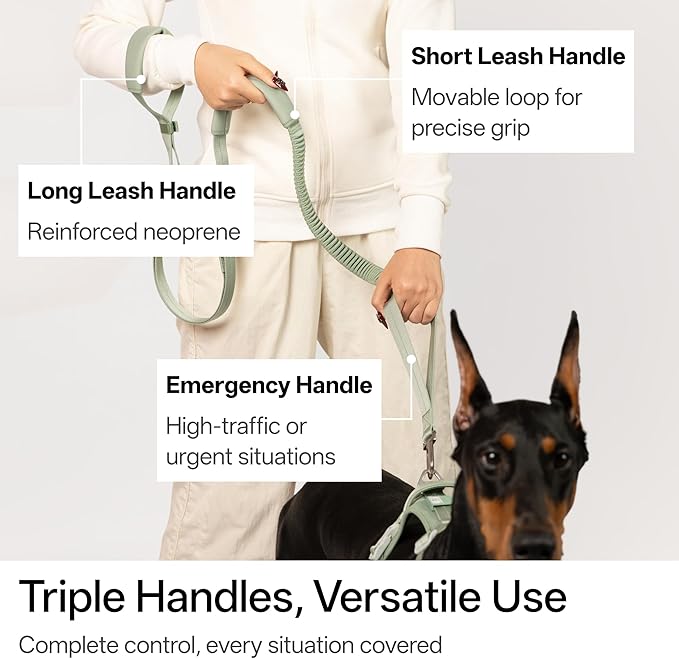Hands Free Dog Leash Adjustable Versatile Crossbody Waist Dog Leash Reflective Comfortable Padded Handles Shock Absorbing Walking Lead for Small Medium Large Dogs (Light-Olive, S)
