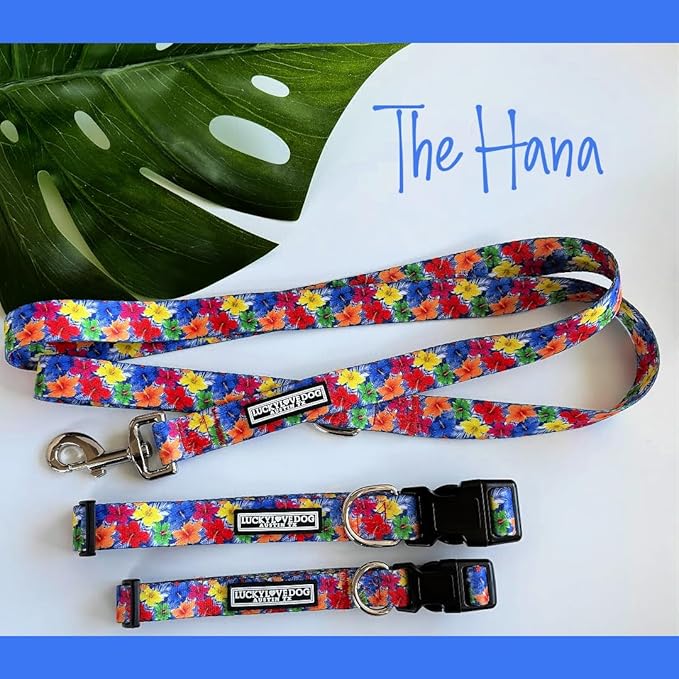 Lucky Love Dog - Adjustable Dog Collar with Easy Click Buckle for Small Dogs, Durable, & Comfortable for Male & Female Dogs, Pet Collar for Puppies & Adult Dogs - Hana, Small