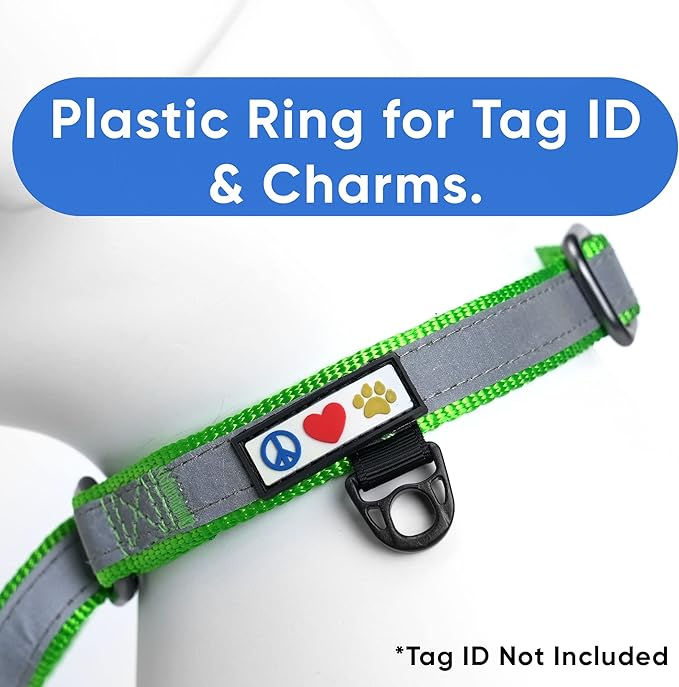 Pawtitas Customized Martingale Dog Collar Reflective Reflective Dog Collar Embroidered Personalized Name Phone Number Adjustable for Puppies Small Medium Large Size Dogs Small Green