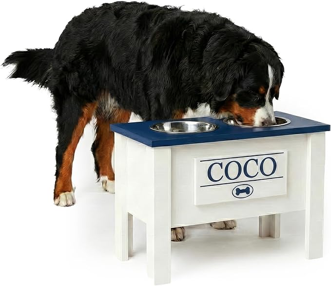 GTW Personalized Elevated Dog Bowl Stand for Large, Medium, Small, X-Small Dogs - Stainless Steel Food and Water Bowls - Raised Dog Dish (X-Large, Blue)