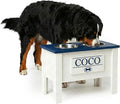 GTW Personalized Elevated Dog Bowl Stand for Large, Medium, Small, X-Small Dogs - Stainless Steel Food and Water Bowls - Raised Dog Dish (X-Large, Blue)