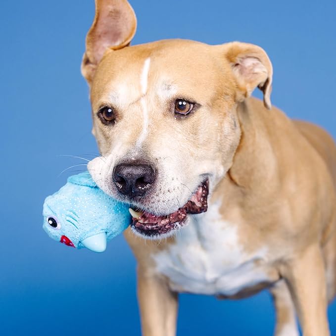 Fringe Studio Out of The Blue Rubber Dog Toy with Plush Exterior, Pet Shop Collection (519018)