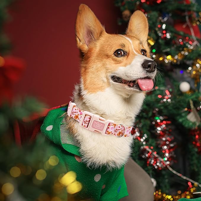 Elegant little tail Dog Collar with Leash, Pink Gingerbread Man Pet Collar Leash Adjustable Collar for Small Medium Large Dogs Soft Puppy Collars with Quick Release Buckle Girl Boy Dog Collars