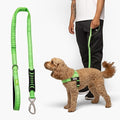 DF Co. Bungee Dog Leash | Strain Free & Shock Resistant for Control | Neoprene Padded Handle, Heavy-Duty Carabiner Clip, and D-Ring | Neon Green, Size Regular