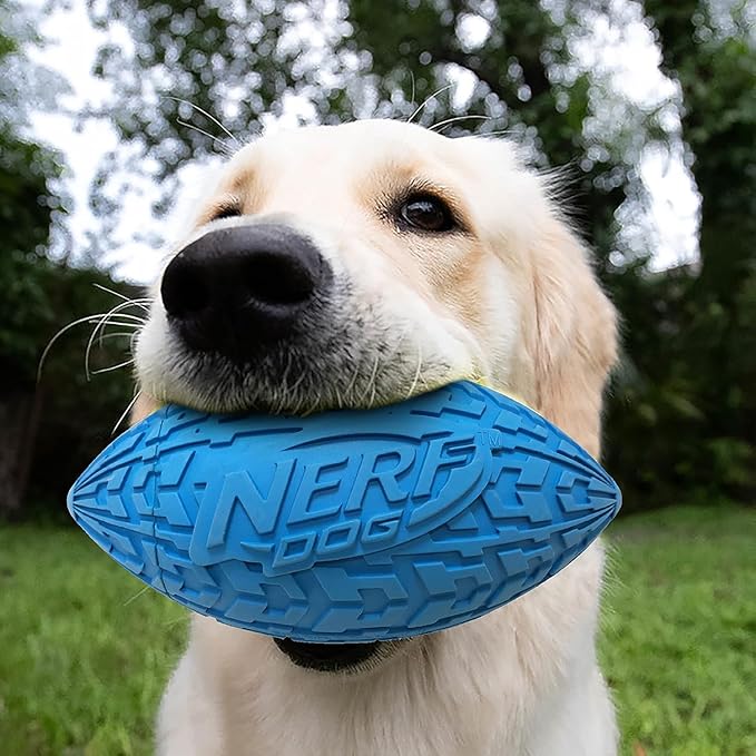Nerf Dog Tire Squeak Football Outdoor Dog Toy, 6 Inch Dog Football Squeaking Toy for Medium and Large Breeds, Blue