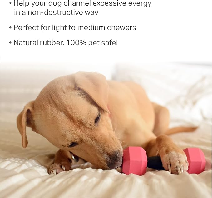 Friends Forever Dog Chew Toy, Interactive Treat Dispensing Toys, Dog Puzzle Fun Indoor Play, Non-Toxic Durable Natural Rubber, Pink/Orange 2 Piece, Dumbbell