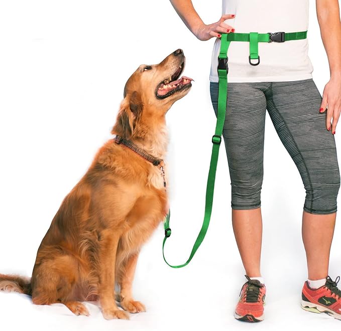 The Buddy System Hands Free Dog Leash, Adjustable Leash for Running, Jogging, Training and Service Dogs, Great for Small, Medium and Large Dogs, Made in USA (Green, Large Belt (27"- 50" Waist))