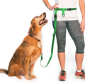 The Buddy System Hands Free Dog Leash, Adjustable Leash for Running, Jogging, Training and Service Dogs, Great for Small, Medium and Large Dogs, Made in USA (Green, Large Belt (27"- 50" Waist))