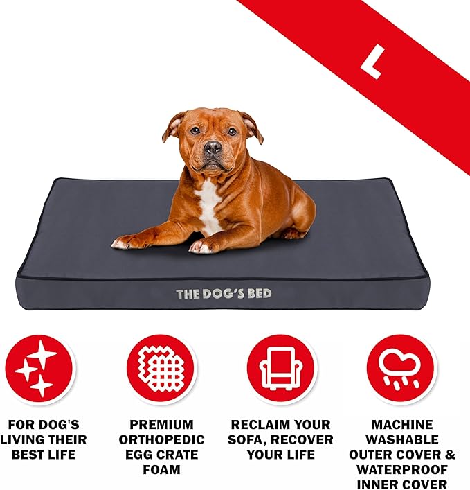 The Dog’s Bed Orthopedic Standard Foam Dog Bed Mattress, Oxford Fabric, Grey with Black Trim, Large