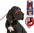 Heather's Heroes The Sidekick No-Pull Leash, Red, Mini