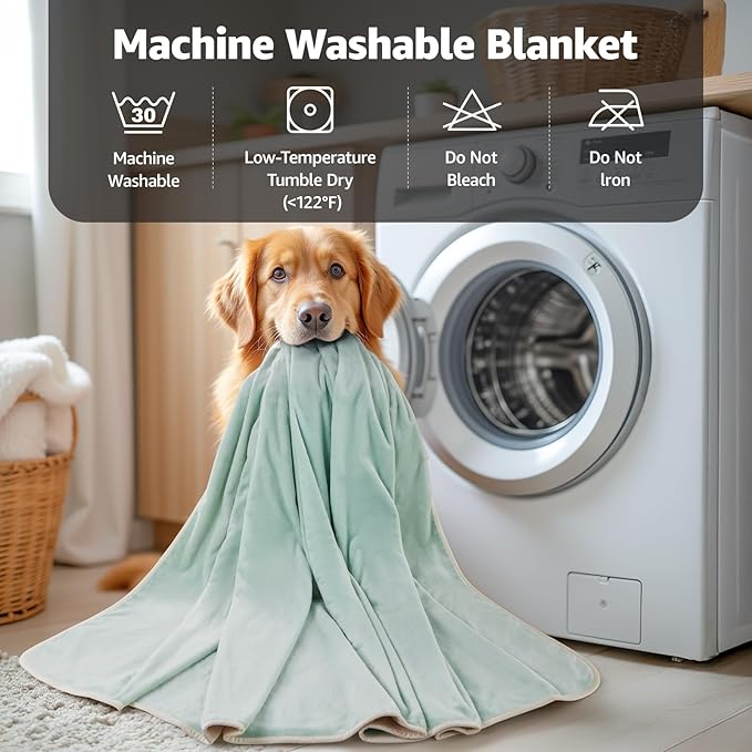 LOOBANI Waterproof Blanket for Bed: Reversible Soft Flannel Queen Bed Blanket 80" x 90", Waterproof Dog Blankets for Large Dogs, Spill-Proof Cover for Furniture Protection, Movie Time, Green