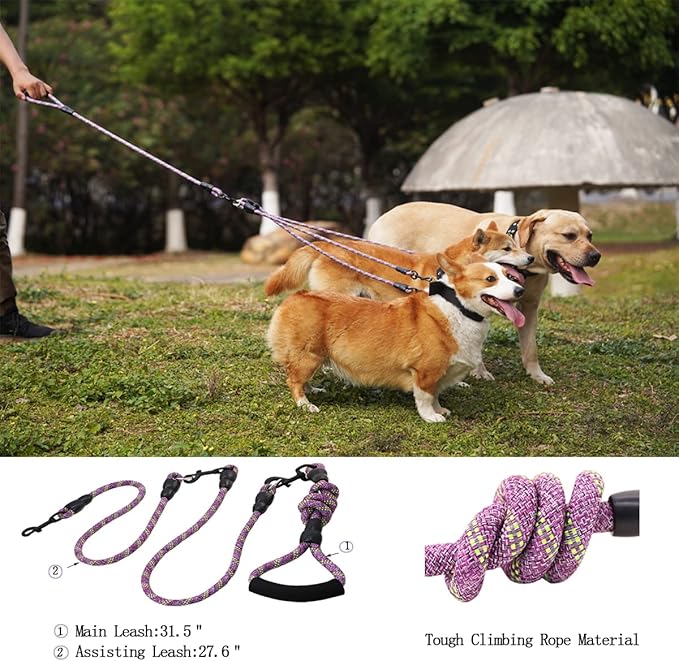 3 Dog Leash - Padded Handle, 360° Swivel Multiple Dog Leash No Tangle, Lead for Medium Large Dogs, Walking & Training Double Dogs (Purple Green)