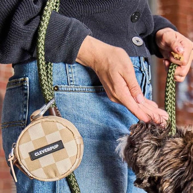 Cleverpup Snackpack Double Insulated Dog Treat Pouch – 1.5 Cup Capacity, 2 BPA-Free Waterproof Zipper Pockets, Carabiner for Belt/Leash – Compact Training & Travel Bag – Checkerboard