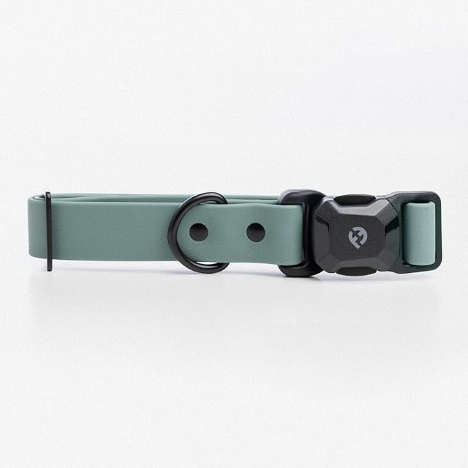 2026 New Edition, Fei & Eve PVC MagEase Dog Collar - Patented Magnetic Buckles | Fur-Safe | 450LB Escape-Proof | Adjustable Fit | Medium (Glacier Green)