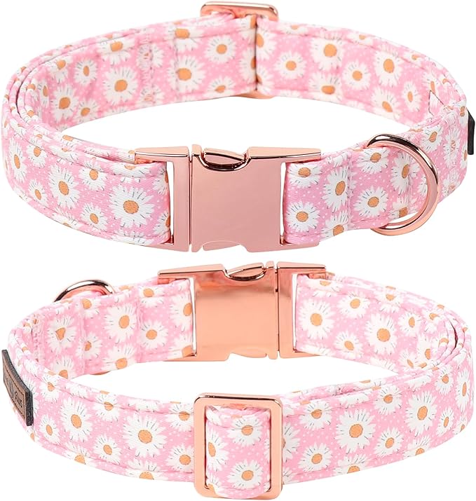 Lionet Paws Floral Dog Collar with Sailor Bow, Spring Cute Daisy Pink Dog Collar Bow Tie for X-Large Dogs, Neck 16-26 inches