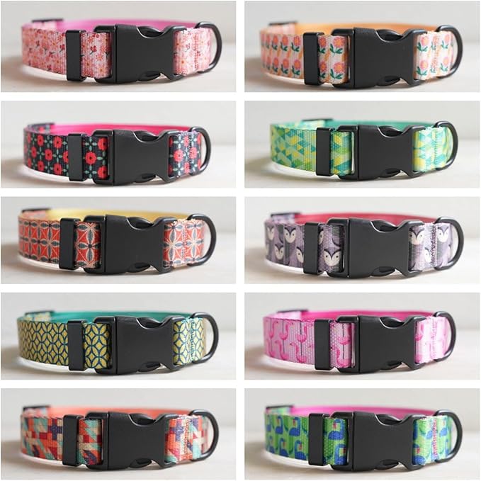 Dog Collars for Small Dogs - Safety Buckle Durable Plastic Light-Weight, Girl Dogs Collar for Small Dog Collar with Cute Fruit Patterns Soft Adjustable (Orange, XS)