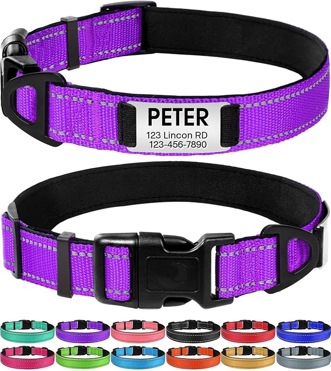 Joytale Personalized Dog Collars with Engraved Name Plate, Silent No Jingle Custom Nylon Collar with Fixed ID Tag, Reflective Soft Neoprene Padded Breathable for Puppy and XSmall Dogs, Purple