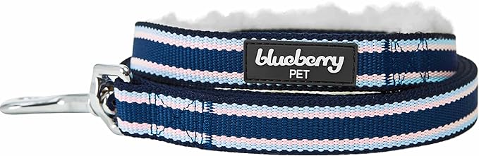 Blueberry Pet Multi-Colored Stripe Fleece Padded Dog Leash with Soft & Comfortable Handle, 5 ft x 3/4", Blue, Medium, Leashes for Dogs