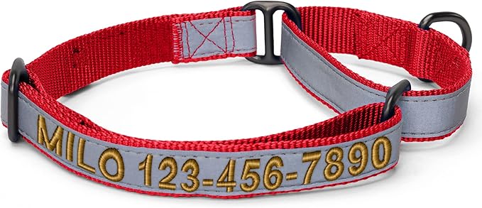 Pawtitas Customized Martingale Dog Collar Reflective Reflective Dog Collar Embroidered Personalized Name Phone Number Adjustable for Puppies Small Medium Large Size Dogs Small Red