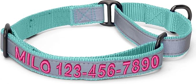 Pawtitas Customized Martingale Dog Collar Reflective Reflective Dog Collar Embroidered Personalized Name Phone Number Adjustable for Puppies Small Medium Large Size Dogs Medium Teal