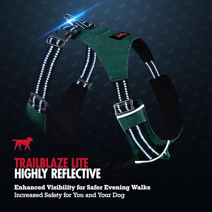 Tuff Pupper All-Day Wear Dog Harness | for Walking, Trail Running, Hiking | Front & Back Leash Clips | Reflective Trim | Easy On/Off Buckles | Lightweight Breathable | No Pull Design (XS, Teal)