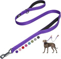 Fida 4 FT Heavy Duty Dog Leash with 2 Comfortable Padded Handles, Traffic Handle & Advanced Easy Snap Hook, Reflective Walking Lead for Large, Medium & Small Breed Dogs, Purple