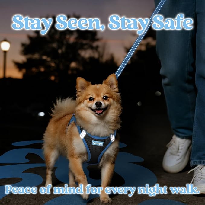 rabbitgoo Dog Harness Small Sized and Leash Set, Step-in Breathable Pet Harness, Soft Walking Reflective Puppy Vest for Small Dogs, Black & Light Blue, L