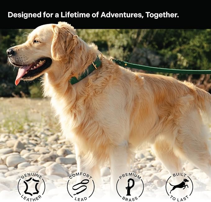Scout Supply Classic Leather Dog Leash | Strong Heavy Duty Thick Full Grain Leather | Waterproof & Rust-Proof Brass Hardware (Green, L: 4.5 ft x 2/3 in)