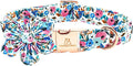 Lionheart Glory Floral Dog Collar - Soft, Durable & Adjustable for Medium Dogs
