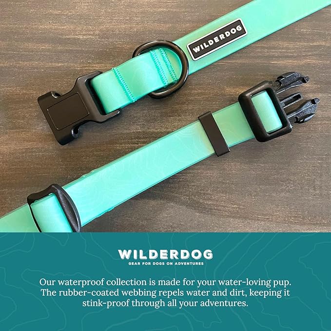 Wilderdog Waterproof Dog Collar - Repels Water & Dirt - Small 11"-15" - Seafoam