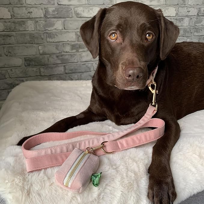 PETDURO Custom Dog Collar Personalized with Name Engraved Quick Release Rose Gold Metal Buckle for Large Medium Small Girl Dogs - Dog Leash and Bow Tie Available - Soft Comfy Velvet (Pink, L)