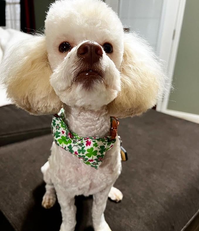 Elegant little tail St Patrick's Dog Collar - Green Lucky Clover Cotton Shamrock Pet Collar Bowtie Cute Collars with Bow Adjustable Pet Collars for X-Small Dogs