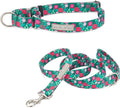 Lucky Love Dog Martingale Dog Collar & Leash - Adjustable, No-Slip, Durable, Comfortable, Soft Webbing, & Stylish Patterned Collar & Leash Set for Male and Female Dogs - Penny Combo, Small