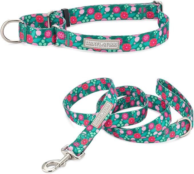 Lucky Love Dog Martingale Dog Collar & Leash - Adjustable, No-Slip, Durable, Comfortable, Soft Webbing, & Stylish Patterned Collar & Leash Set for Male and Female Dogs - Penny Combo, Large