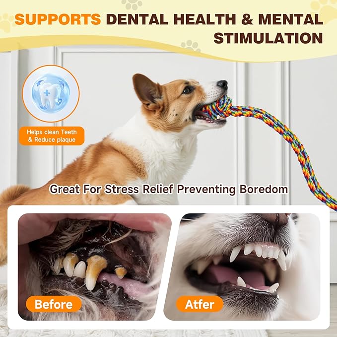 Interactive Tug Toy with Sticky Suction Cups, Durable Rope & Rainbow Chew Ball, Indestructible Enrichment Puzzle, Built for Aggressive and Busy Chewers，Toy for Small to Medium Dogs