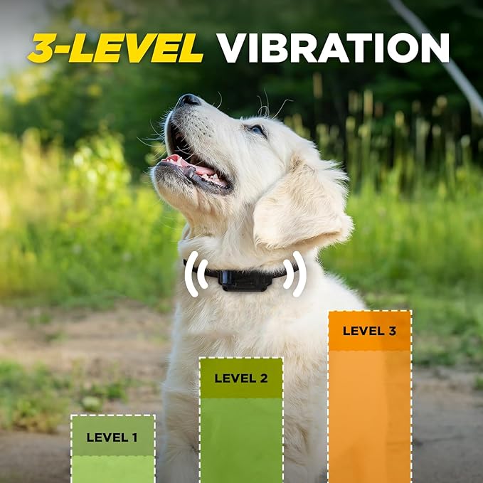 Dogtra iQ Vibe Vibration Only No Bark Collar: 4X Stronger HPP Vibration, IPX9K Waterproof, Precision Sensor, Rechargeable