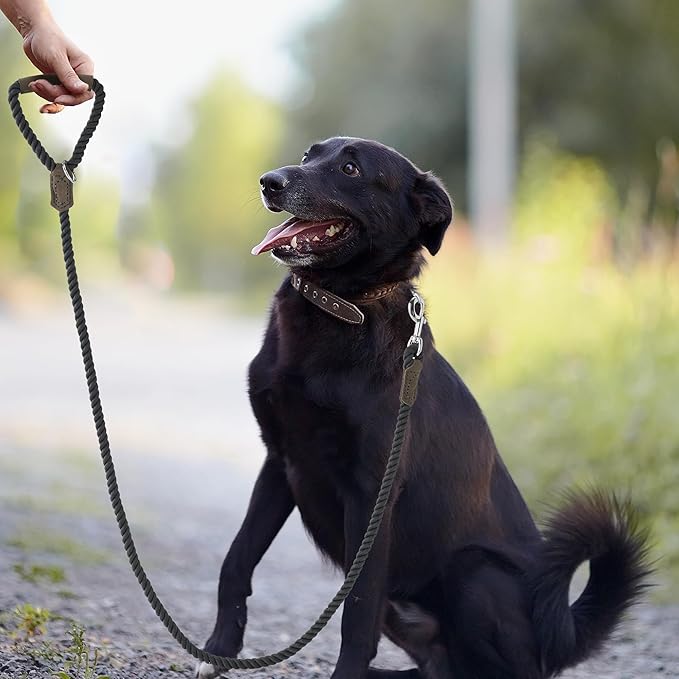 Mile High Life Dog Leash, Braided Cotton Rope Leashes with Leather Handle - Heavy Duty Metal Clasp, 6FT, 1/2" Thick - Wedding, Walking & Training Leash for Small Medium Large Dogs (Gray)
