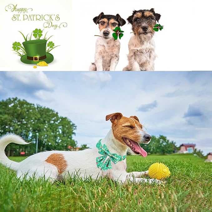 Unique style paws St. Patrick's Day Dog Collar with Tie Rainbow Clover Heart Puppy Collar for Small Medium Large Boys Girls-XS