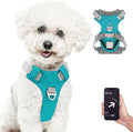TagME No Pull Dog Harness with 2 Leash Clips,Lightweight & Visible for All-Day Walking,No Choke Pet Vest Includes AirTag Holder for Puppy,Teal