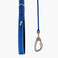 DF Co. Close Control Short Trainer Dog Leash | Strain Free & Shock Resistant, Durable Material, 65cm in Length, Heavy Duty Clips & D-Ring (Classic Blue, Small)
