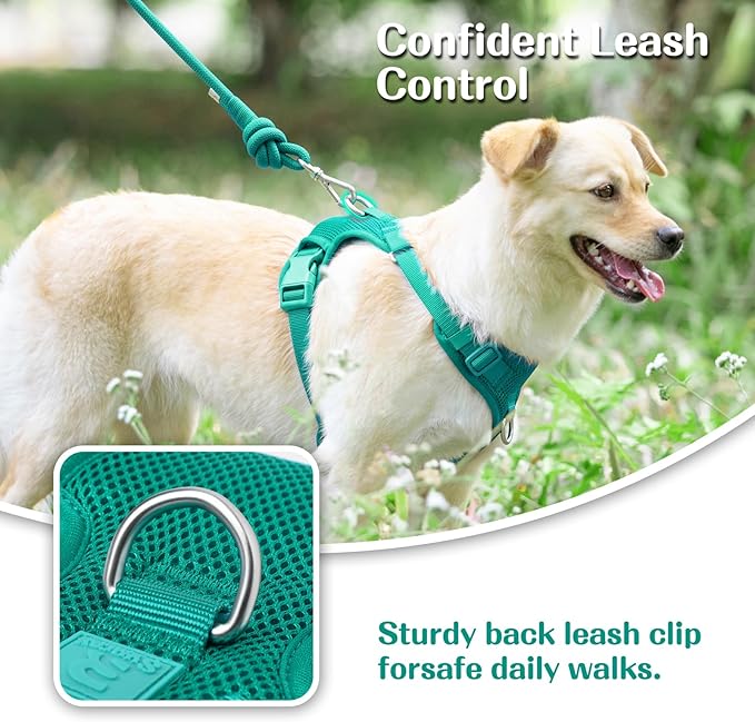 No Pull Dog Harness for Small Medium Large Dogs - Adjustable 2 Layer Mesh Dog Vest with Dual Clip, Escape Proof, Quick Release, Lightweight Breathable Mesh for Walking Hiking (MARRS Green,XS)