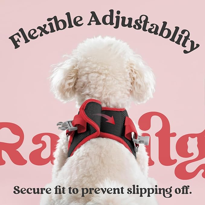 rabbitgoo Dog Harness Small Sized and Leash Set, Step-in Breathable Pet Harness, Soft Walking Reflective Puppy Vest for Small Dogs, Black & Red, S