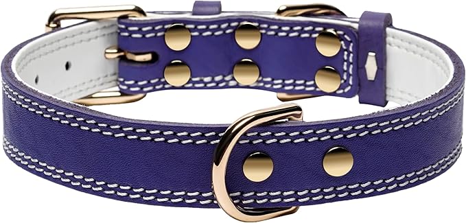 Genuine Leather Dog Collar, Heavy Duty Wide Dog Collar for Small, Medium, Large and Extra Large Dogs (M: 1" Wide for 15.2"-19.2" Neck, Dual Stitch - Purple)