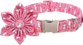 Lionet Paws Easter Bunny Dog Collar with Flower, Flower Collar with Metal Buckle for Dogs, Adjustable Comfortable Dog Collar Girl, XL, Neck 16-26 in