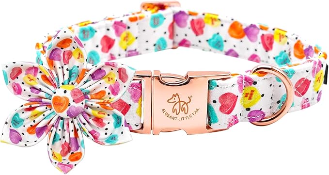 Elegant little tail Valentine's Dog Collar, Heart Dog Collar with Flower Cute Girl or Boy Pet Collars with Flower Puppy Gift Adjustable Pet Collars for X-Large Dogs