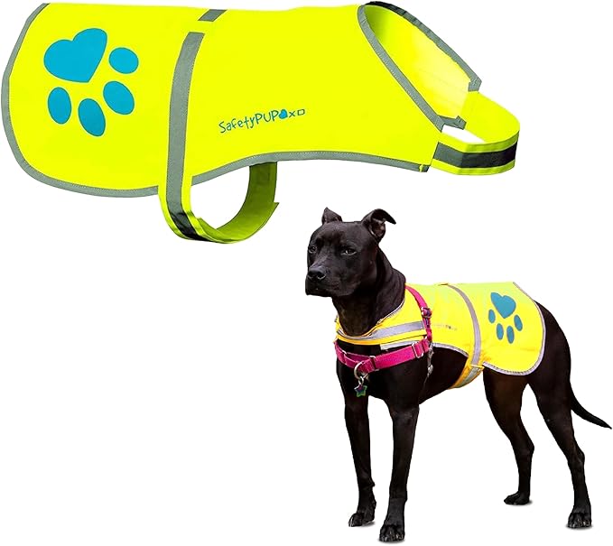 SafetyPUP XD Dog Reflective Vest – Hi-Vis Fluorescent Visibility That Helps to Safeguard Your Pet On/Off Leash in Urban & Rural Areas (Yellow, Medium)