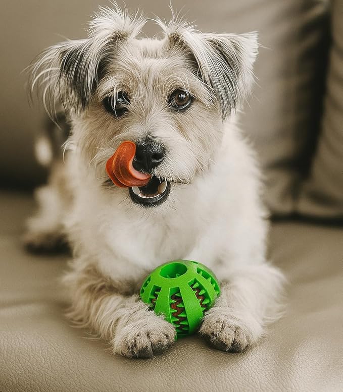 Feeder Dog Toy with Slots for Treats, Durable Rubber Ball 2.75in