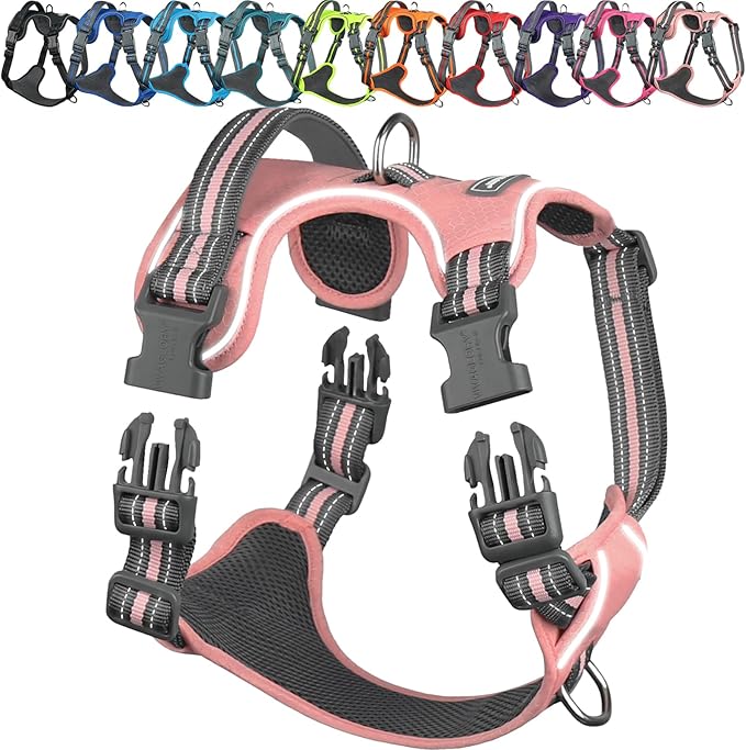 VIVAGLORY Dog Harness Easewalk No Pull Dog Harness with Handle Front Clip & Back Clip for Training Walking Lifting, No Pull Adjustable Easy On Padded Comfortable for Pet, M, Sakura Pink - Patterned