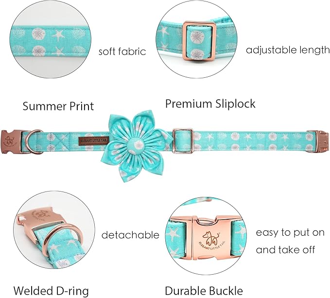 Elegant Little Tail Girl Dog Collar with Flower - Summer Collar for Small, Medium & Large Dogs
